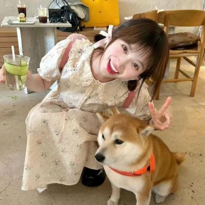 熊熊大冒险